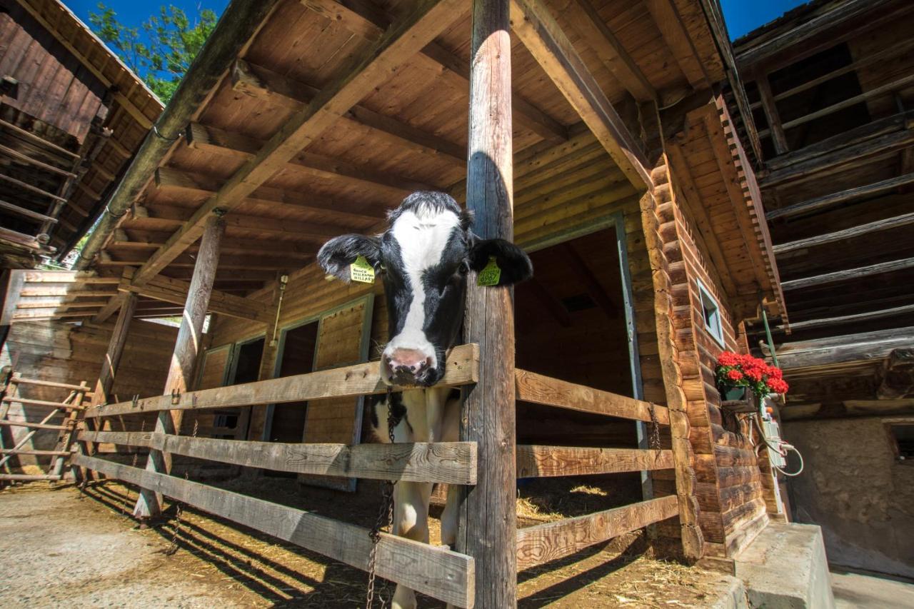 Agriturismo Maso Runch Бадия Екстериор снимка