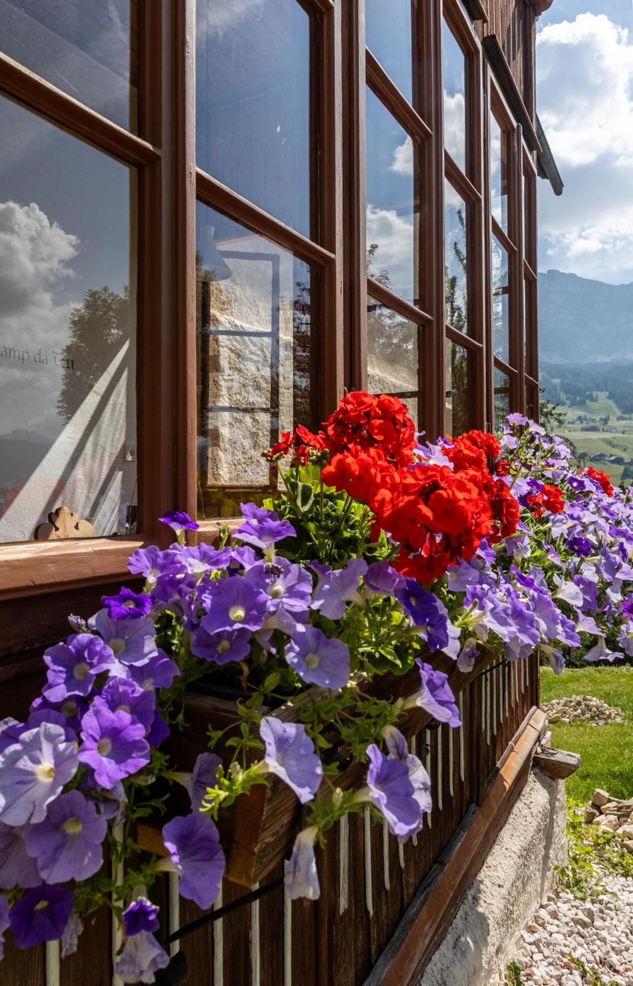 Agriturismo Maso Runch Бадия Екстериор снимка