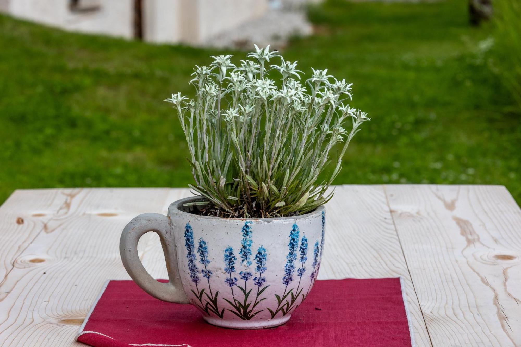 Agriturismo Maso Runch Бадия Екстериор снимка
